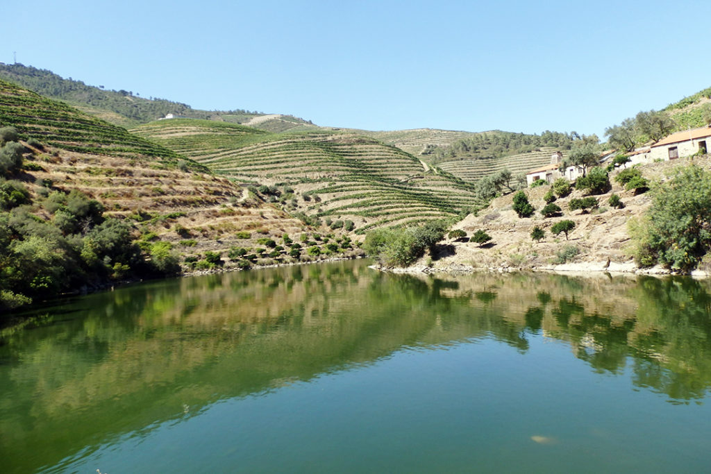 Douro Valley View from the Historic Train