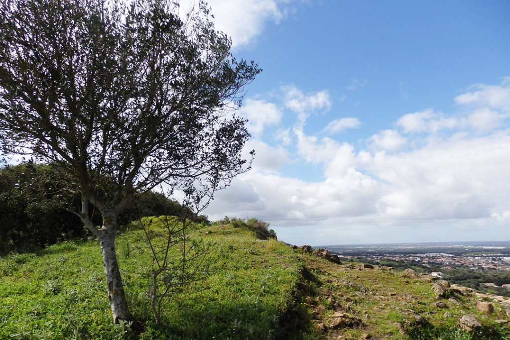 View from Serra do Louro in Arrábida