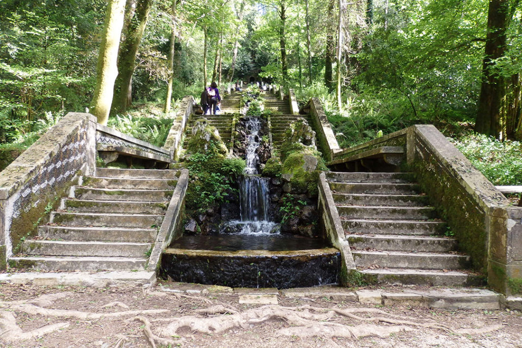 Steps to the Bussaco forest