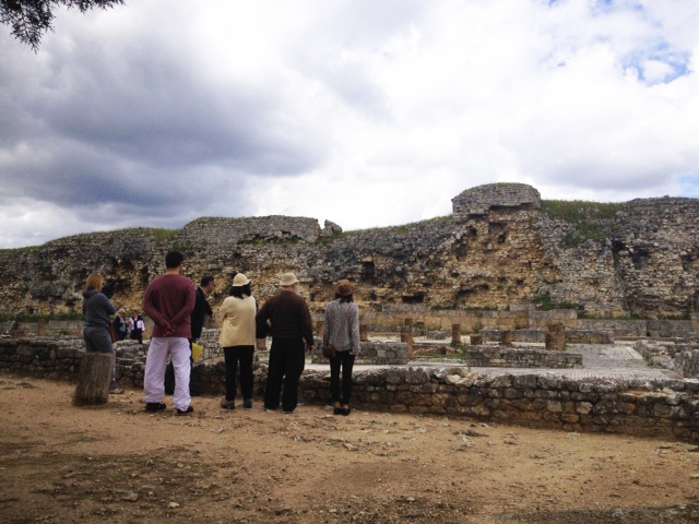 Conimbriga Ruins Guided Tour