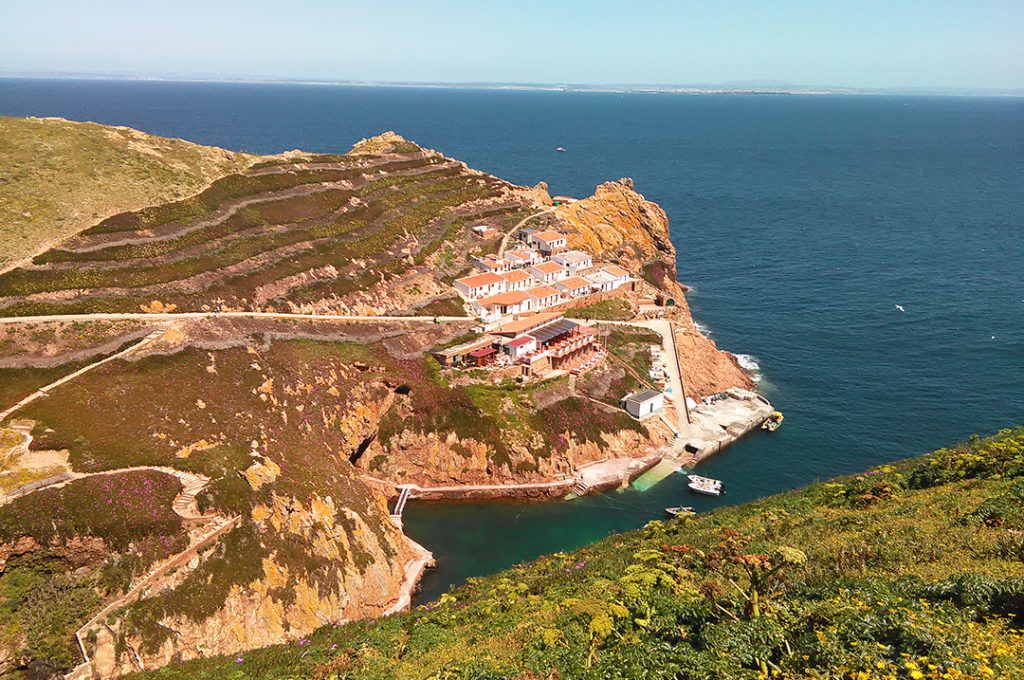 View of the Berlengas Island