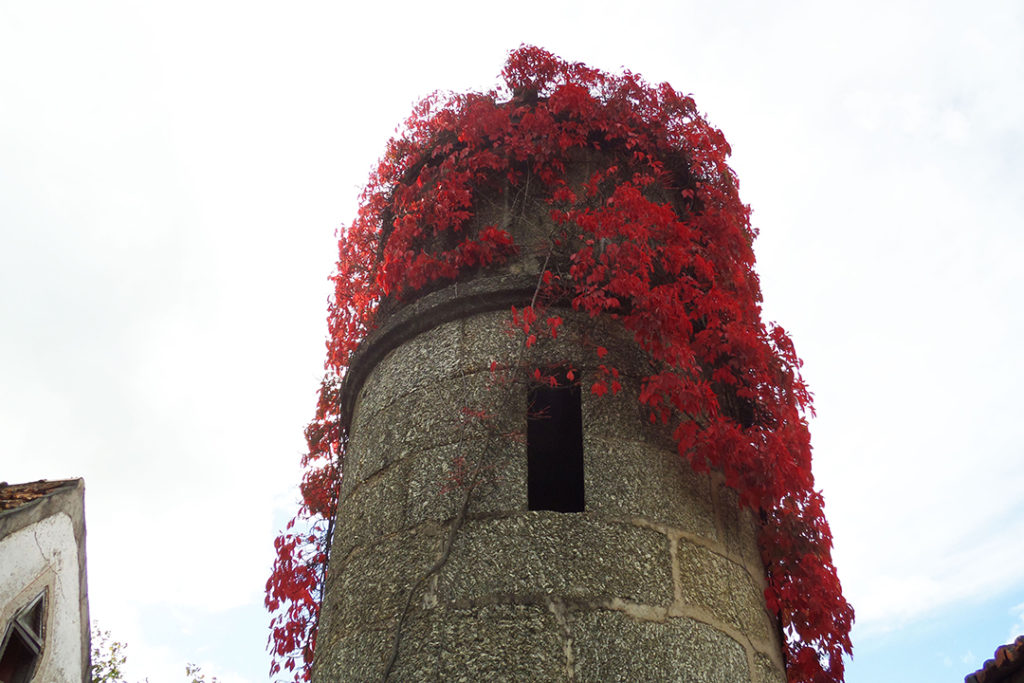 Tower with flowers in Torrozelo