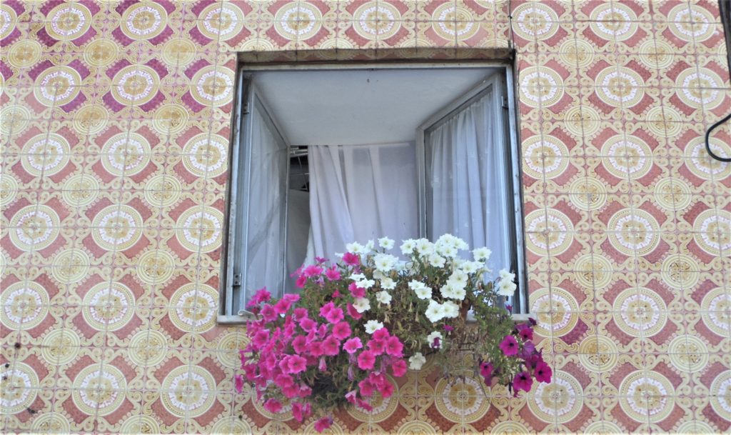 Flowers by the window in Braga, Portugal